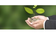 TPE-PME : renforcement des prêts bonifiés destinés aux investissements verts